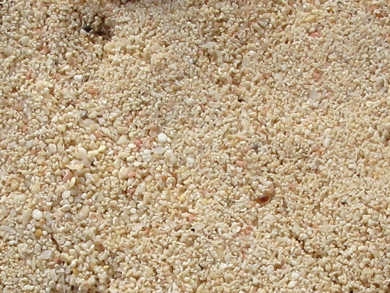 Day6 - 10 pick sand closeup 20-Jan-2010
